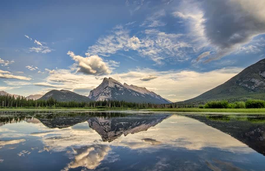 Canadian Dividend ETFs